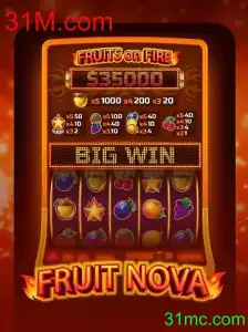Descubra o Empolgante Mundo de FruitNova: Diversão e Estratégia no 31M.com